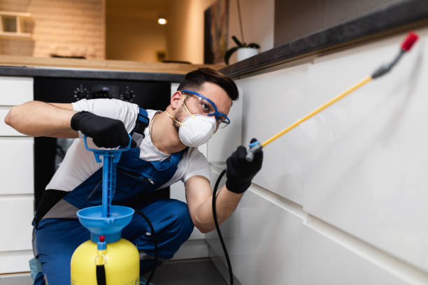 Best Exterminator Services  in West Concord, MA