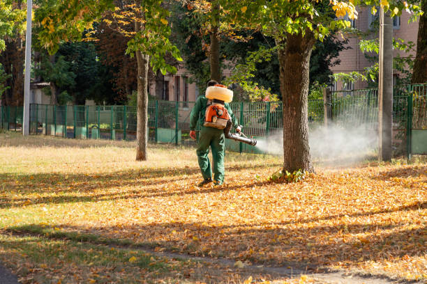 Pest Control for Restaurants in West Concord, MA