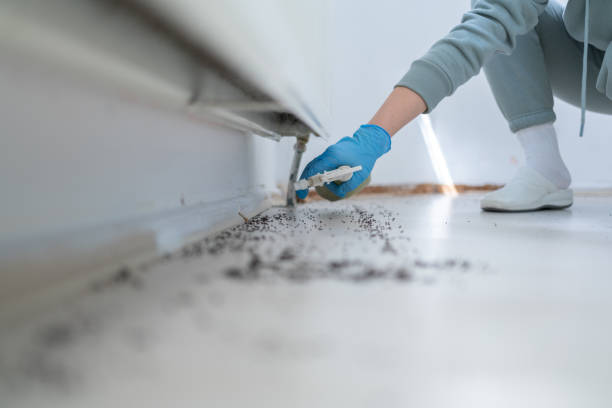 Best Local Pest Control Services  in West Concord, MA